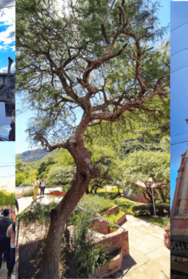 Busca Cordoba Norte